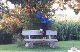 Darssblick - Foto 12