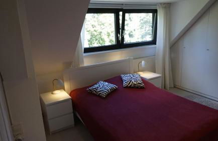 Zentrale Wohnung im Grünen! - Photo 33