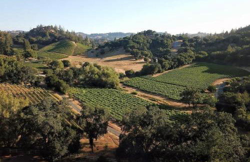Secluded Home, Wine Tastings Included - Foto 14