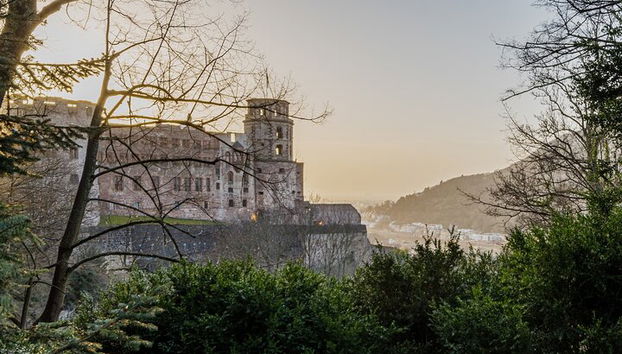 Heidelberg Castle and City Day Tour from Frankfurt - Photo 3