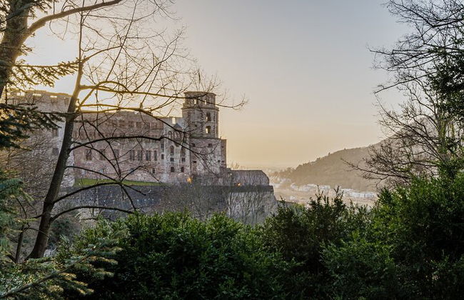 Heidelberg Castle and City Day Tour from Frankfurt - Photo 3