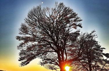 Ferienwohnung Tannenblick - 3 Schlafzimmer, Feldberg-Falkau - Photo 15
