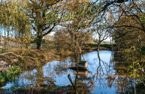 Charming picturesque cottage - nr Tenterden & Rye, pets welcomed - Foto 32