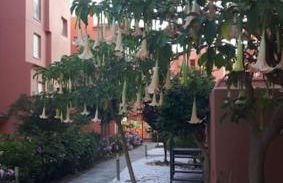 Apartamento, piscina, parking, sol y cerca de la playa VFT MA 75455 - Photo 49