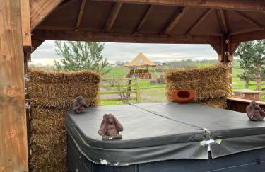 Starshinezzz - Large Farmhouse County Durham - Foto 9