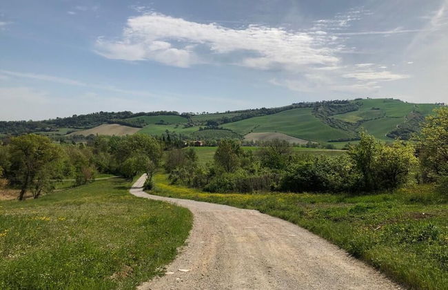 Agriturismo Molino Nuovo - Foto 10