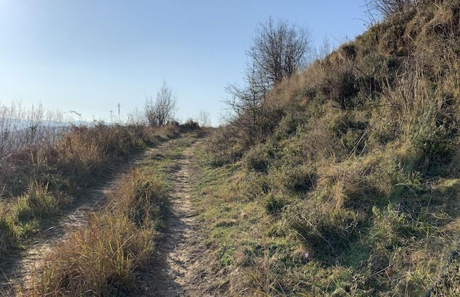 Florenc's Apartment - Foto 35