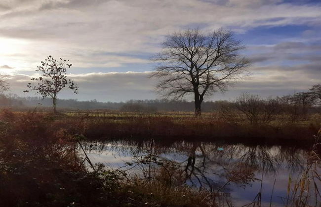 Villa by Weerribben Park - Foto 16