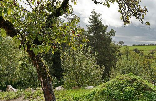 Appartement am Ehrenbach - Foto 20