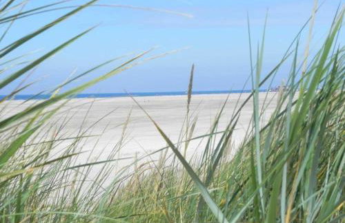 Sandpeter 1 - Foto 17