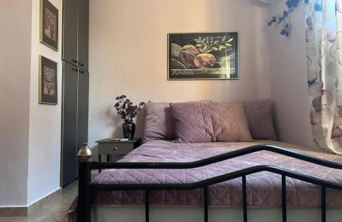 Villa Mihaila - Photo 57