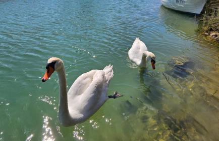 Holiday Home Borna - Foto 40