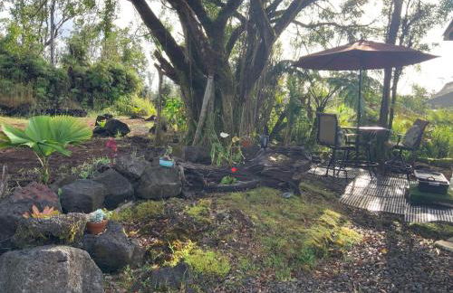 Majestic Banya tree cabin - Foto 16