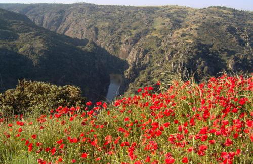 Casa de l Bárrio - Foto 62