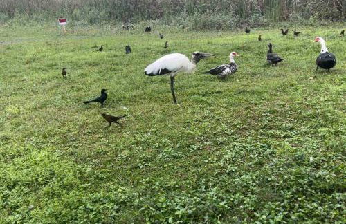 Lakeside retreat - 3 Bedroom, 2 Bathroom house by the lake - Foto 30