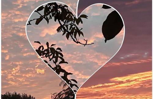 Propriété avec piscine de 2 à 9 personnes, Gîte De Saint Donat, - Foto 62