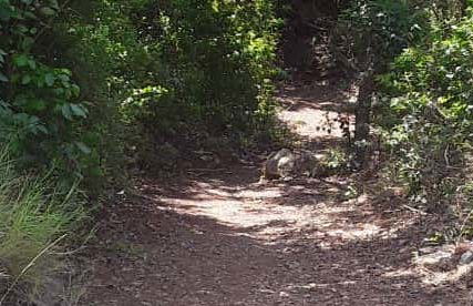 Tacarigua Hike + Lunch on Zaragoza Beach - Photo 1