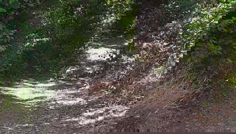 Randonnée à Tacarigua + Déjeuner sur la plage de Zaragoza
