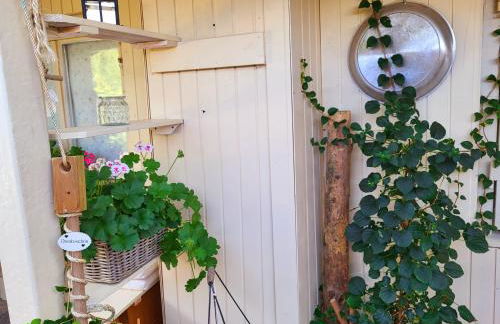 Ferienwohnung Schwarzwaldglück - Foto 45