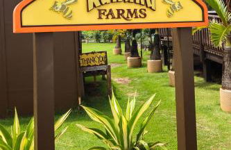 Naupaka Breeze Ocean View AC 30 DAY STAY SPECIALS! - Foto 37