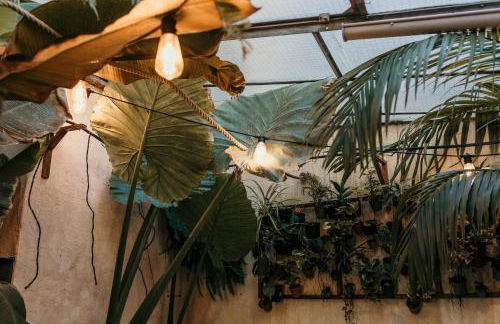 myinsolite - Cocon Tropical, jacuzzi, énigme - Photo 13