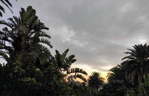 Casa Finca Doñana - Foto 52