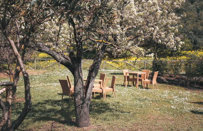 agriturismo i moresani - Photo 18