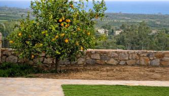 Afanias Lakonia Apartment - Foto 2