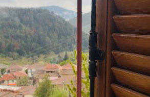 Forrest Guesthouse - Foto 58