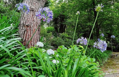 Ideal Villa in Vila Nova de Famalicão with Private Pool - Foto 27