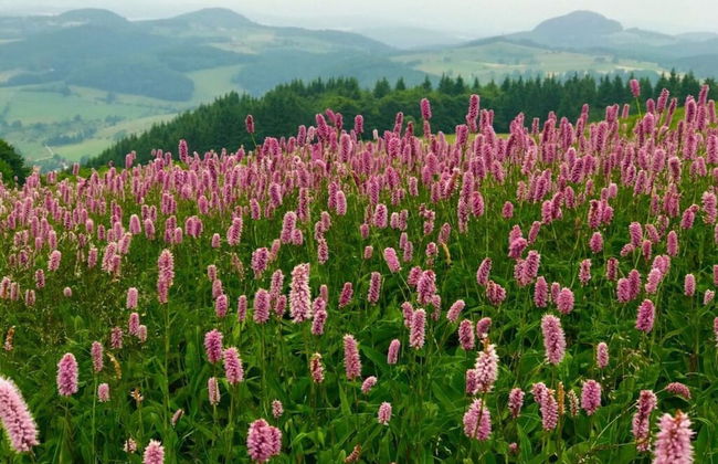 Holiday Apartment Erlebnisrhoen - Foto 12