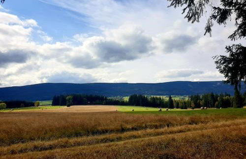 Komfortowy dom z bali koło Zieleńca z widokiem na góry - Foto 41