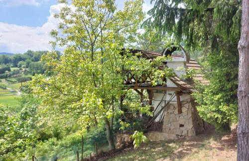 Farma Zdrowia - Foto 79