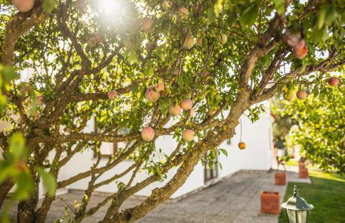 Casa da Quintinha - Villa with a pool - Foto 36