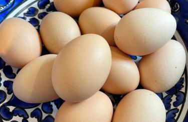 Les Gites de Claire - Foto 15