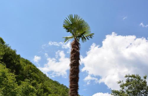 Apartment Zelena Oaza - Foto 25