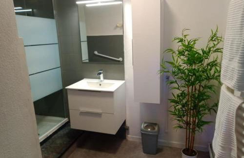 Grande maison en pierre au coeur du village provençal du XIe siecle 10 personnes - Foto 10