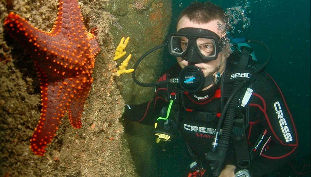 Découvrez les fonds marins d’Acapulco