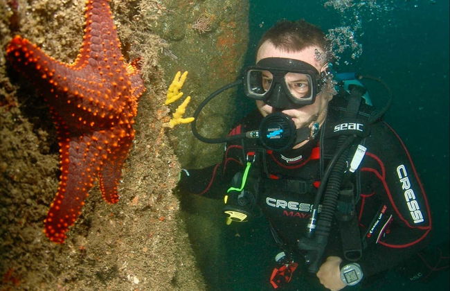 Acapulco Scuba Diving Introduction - Foto 4