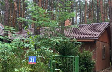 Przytulny domek w lesie blisko rzeki - Foto 1