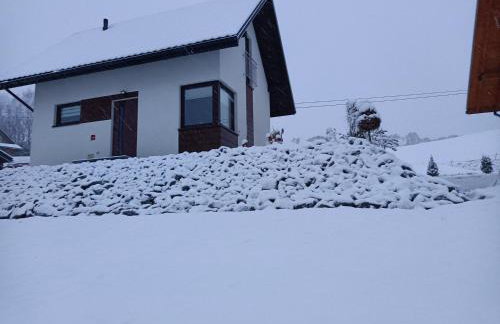 Lisia Norka - Foto 30