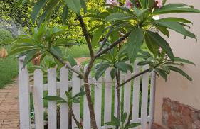 A Due Passi Dal Mare - Foto 8