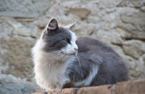 Terrace on the Lake - Foto 33