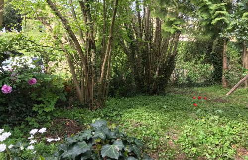 villa Marguerite terrasse & garage - Foto 23