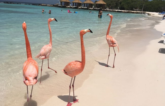 Beachfront Bella Horizonte 2 - Foto 21