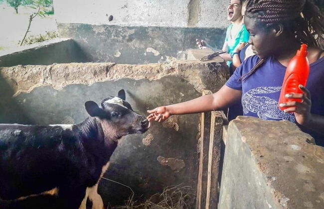 Bushbaby Lodge - Photo 8