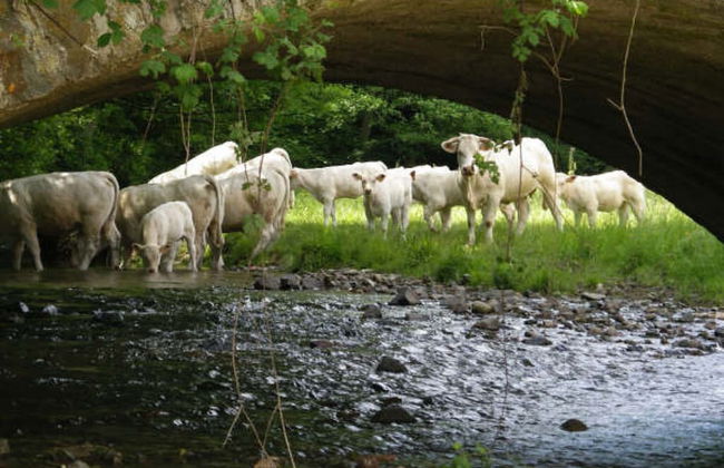 Nice Apartment in Olsberg - Foto 19