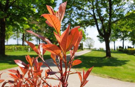 Franz Josefs Tinyhäuser - Foto 17