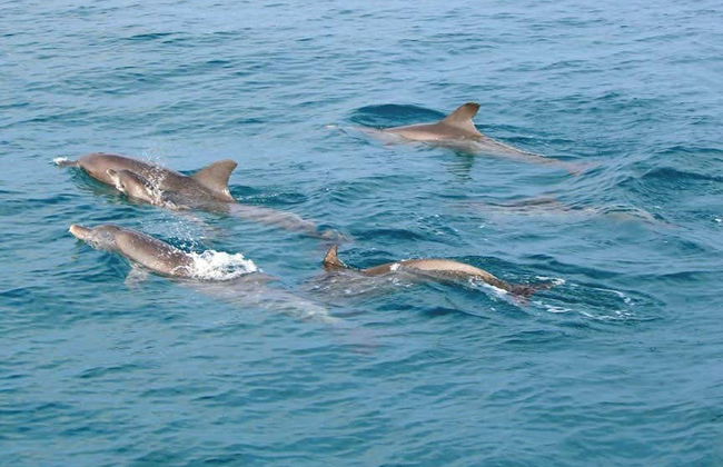 Excursão às ilhas Mai Thon, Racha e Coral - Foto 6
