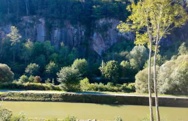 apartment, gite by the canal l Est,river Coney vosges france - Foto 14